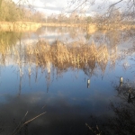 Rokytenský rybník