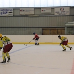Hokejové utkání 1.2.2015