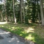 Lesní park